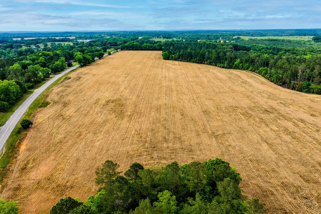 0 Highway 331 Dozier AL 36028