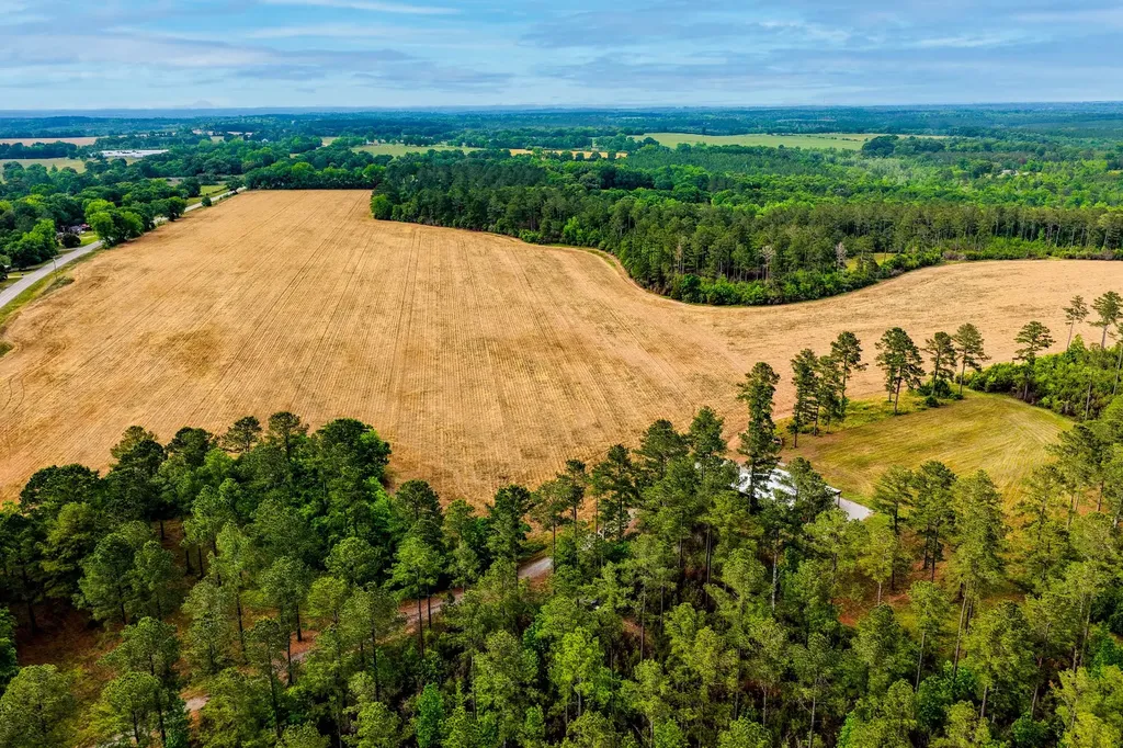 0 Highway 331 Dozier AL 36028