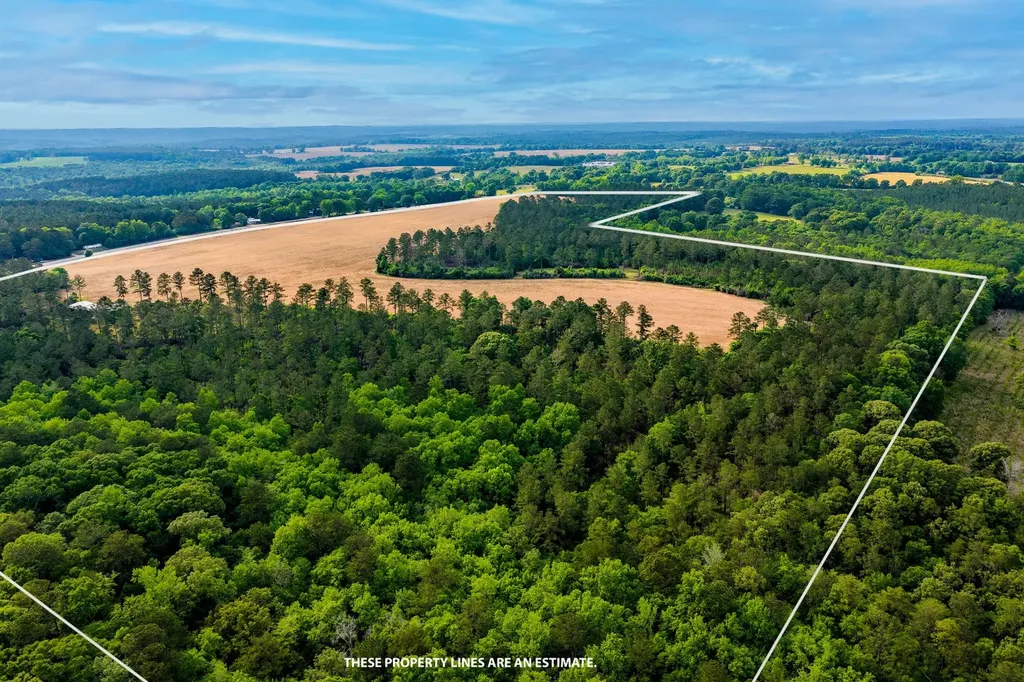 0 Highway 331 Dozier AL 36028