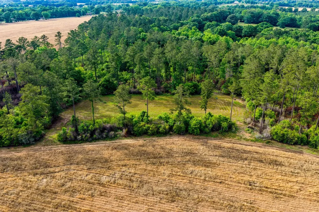 0 Highway 331 Dozier AL 36028