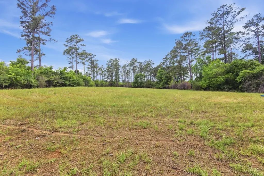 0 Highway 331 Dozier AL 36028