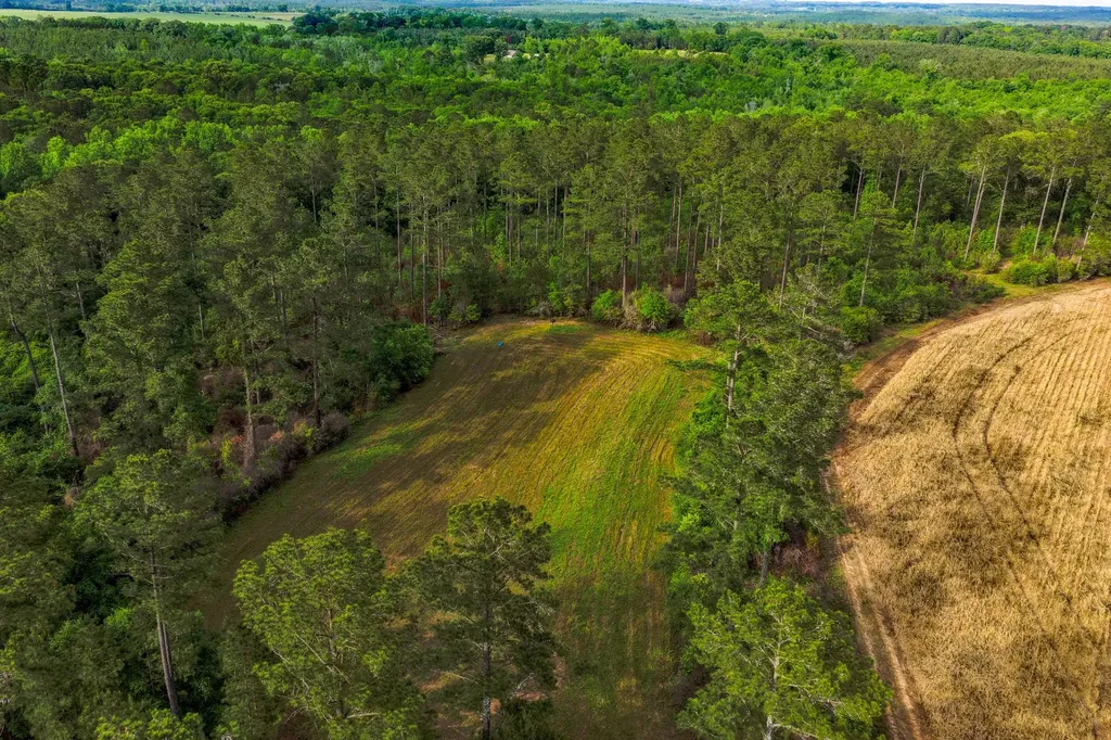 0 Highway 331 Dozier AL 36028