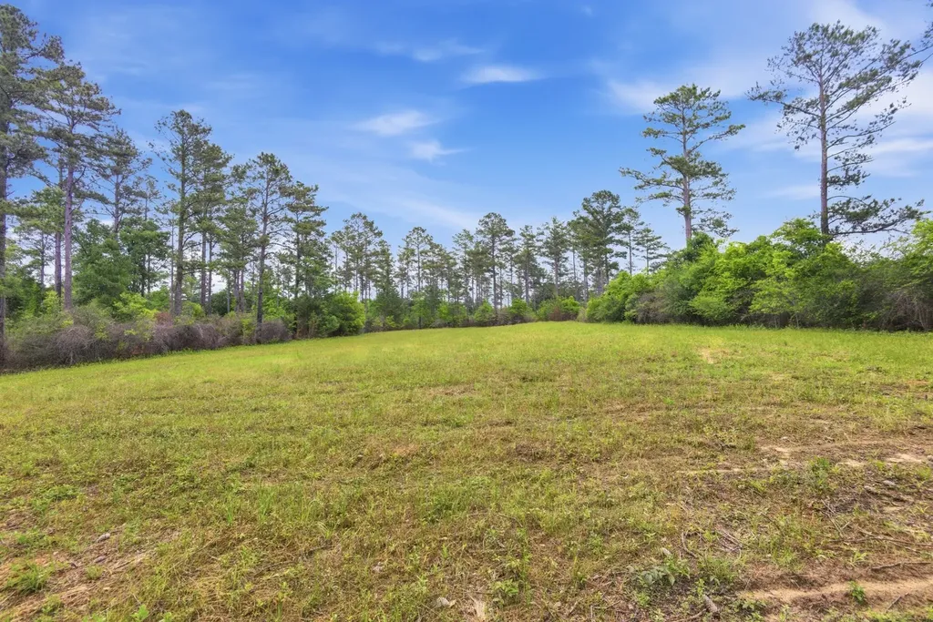 0 Highway 331 Dozier AL 36028