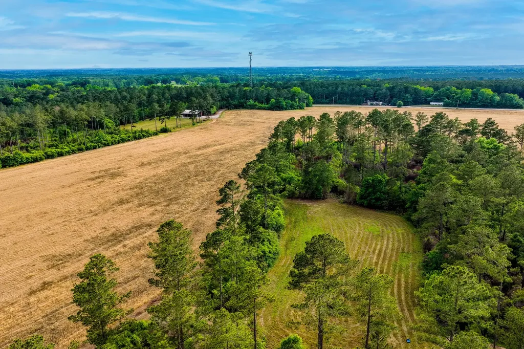 0 Highway 331 Dozier AL 36028