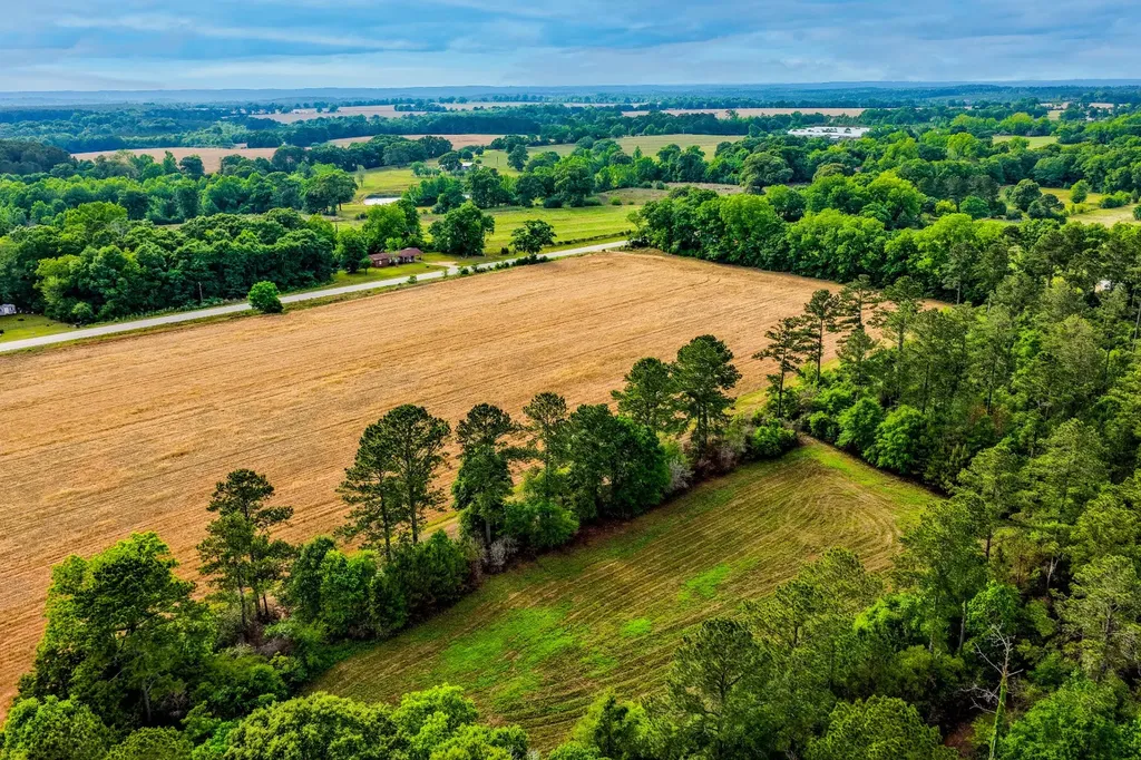 0 Highway 331 Dozier AL 36028