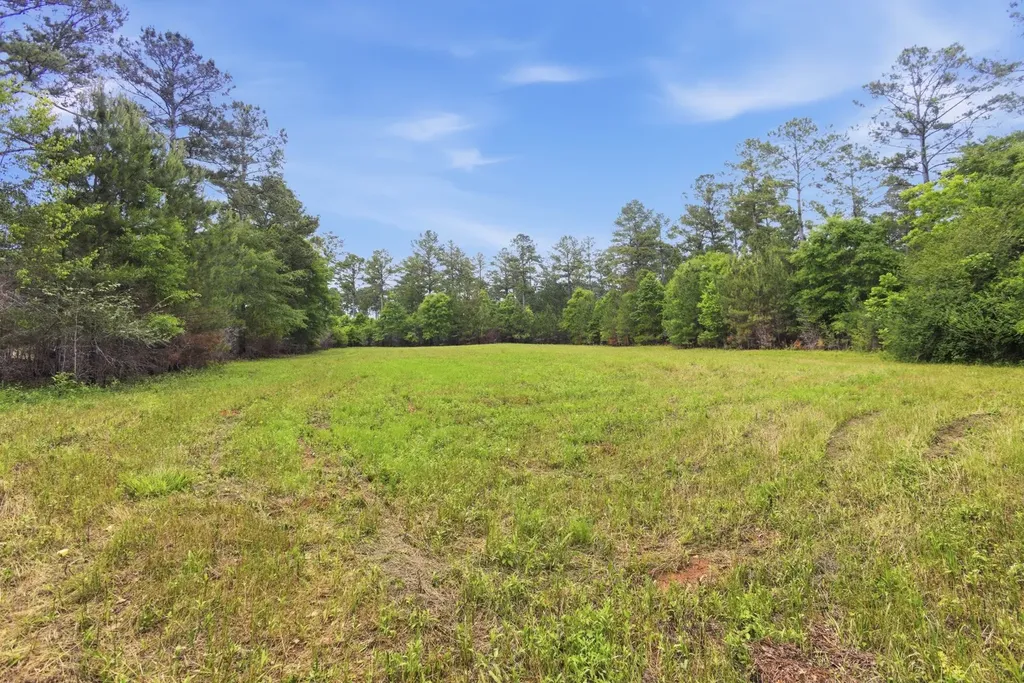 0 Highway 331 Dozier AL 36028