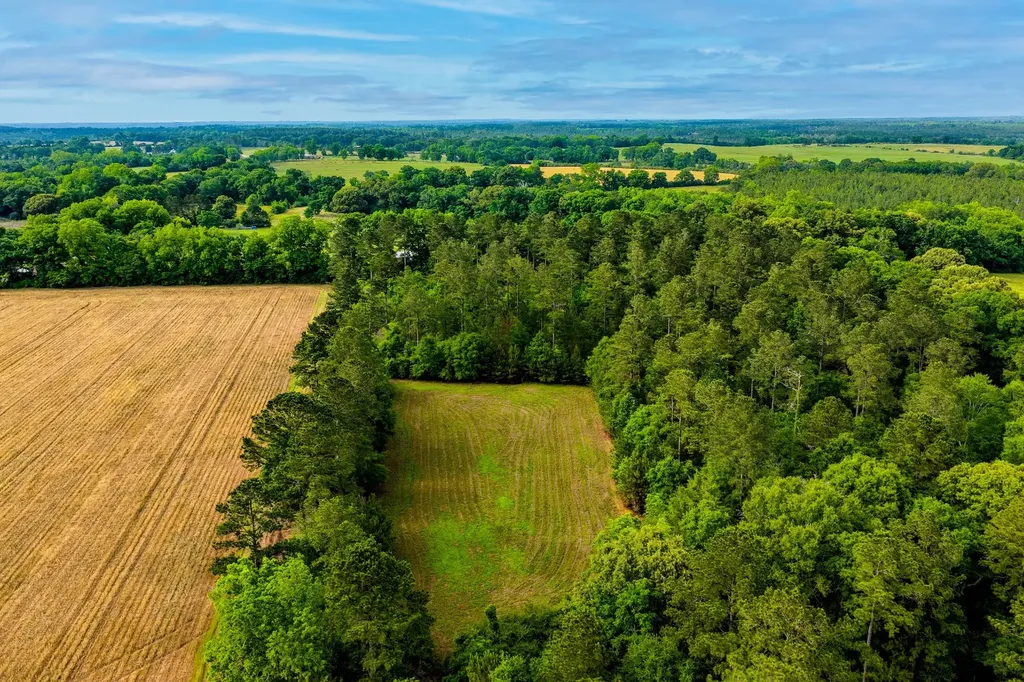 0 Highway 331 Dozier AL 36028