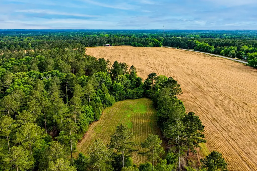 0 Highway 331 Dozier AL 36028