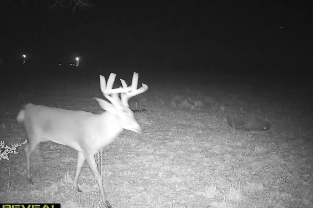 0 Highway 331 Dozier AL 36028