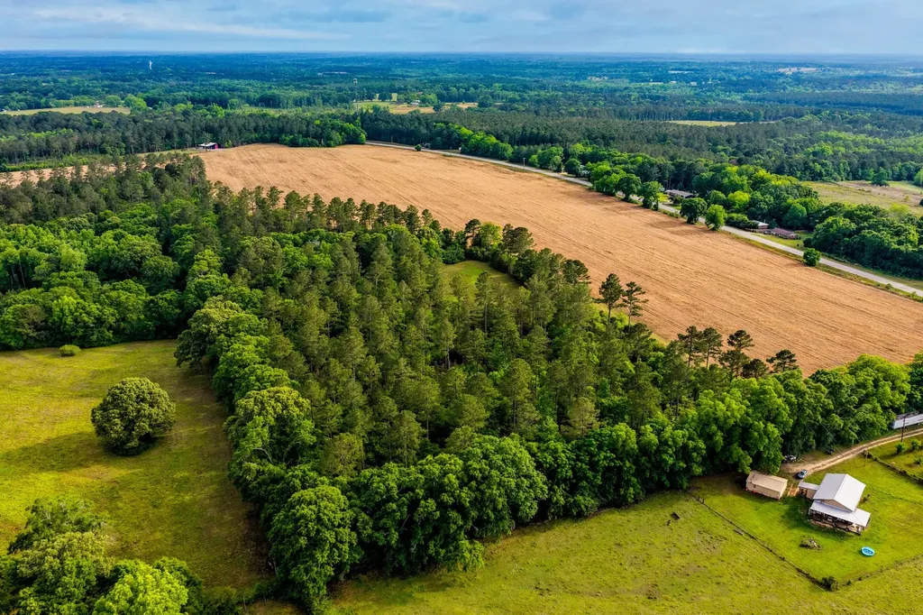 0 Highway 331 Dozier AL 36028