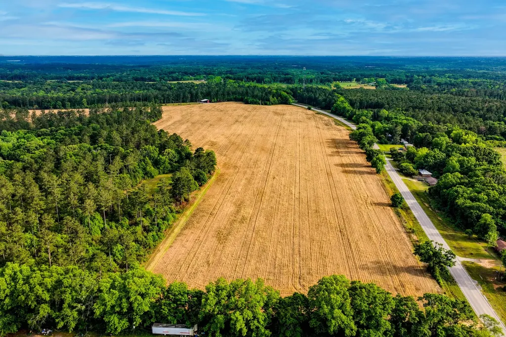0 Highway 331 Dozier AL 36028