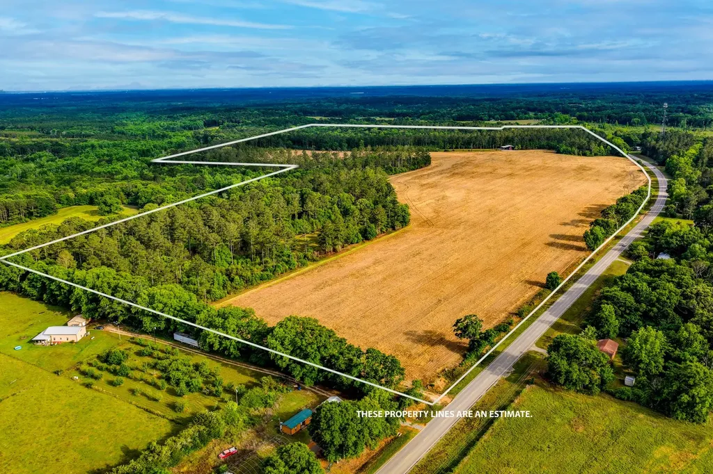 0 Highway 331 Dozier AL 36028