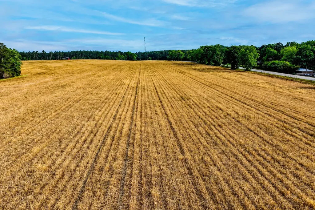 0 Highway 331 Dozier AL 36028