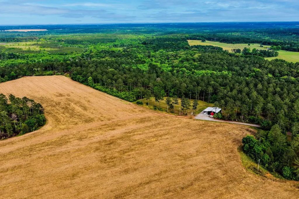0 Highway 331 Dozier AL 36028