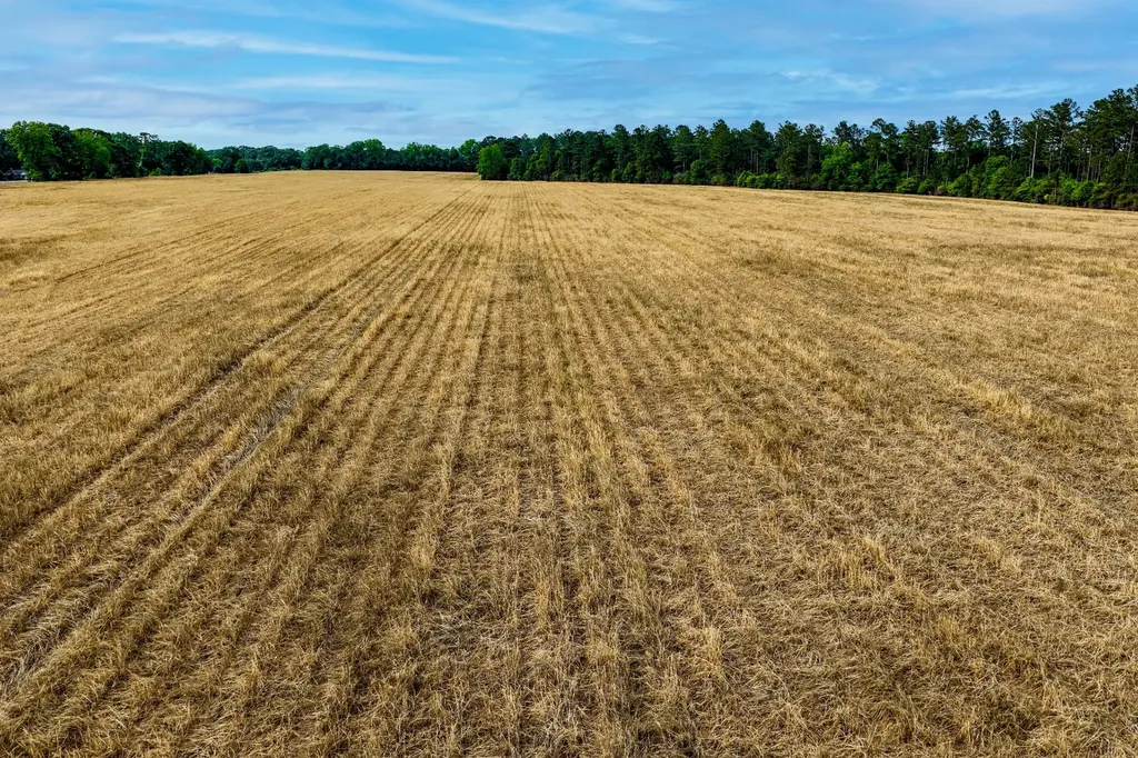 0 Highway 331 Dozier AL 36028