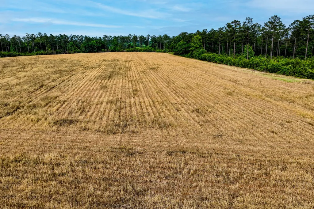 0 Highway 331 Dozier AL 36028