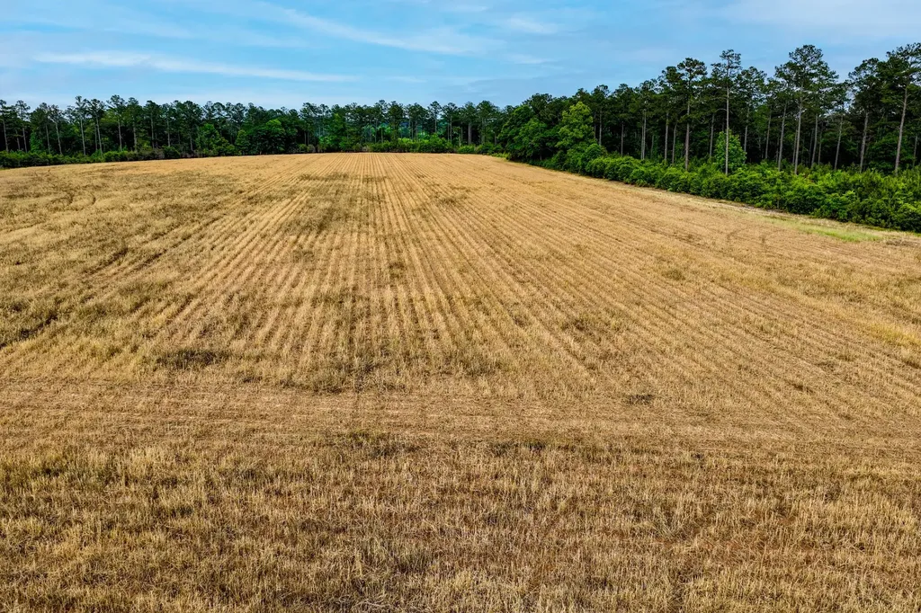 0 Highway 331 Dozier AL 36028