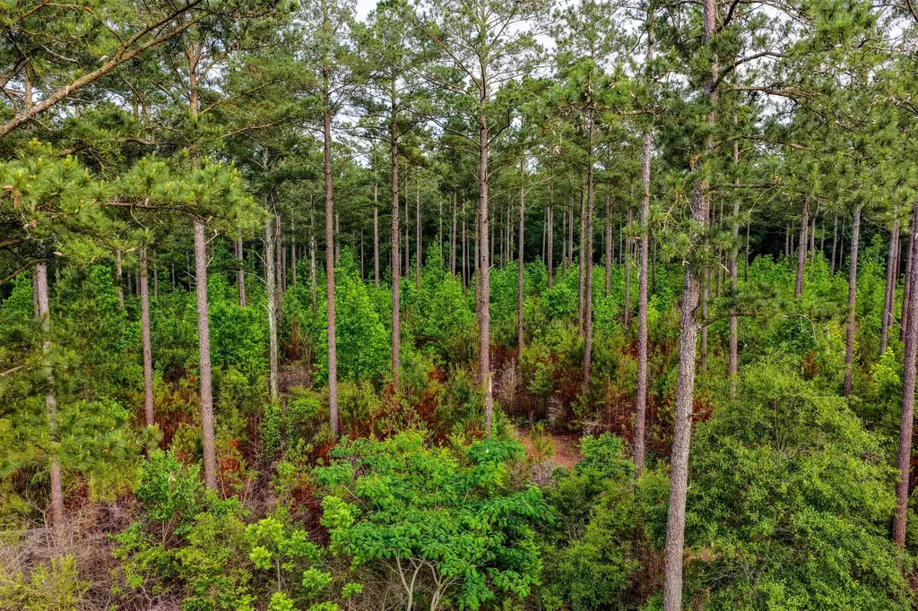0 Highway 331 Dozier AL 36028