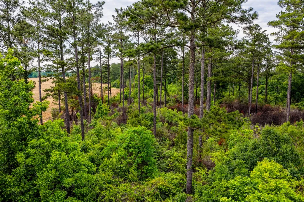 0 Highway 331 Dozier AL 36028