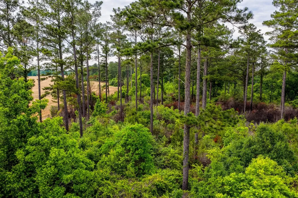 0 Highway 331 Dozier AL 36028