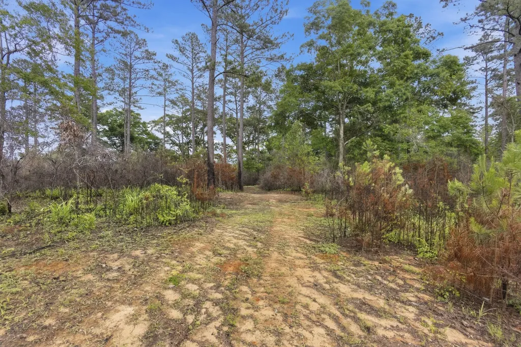 0 Highway 331 Dozier AL 36028