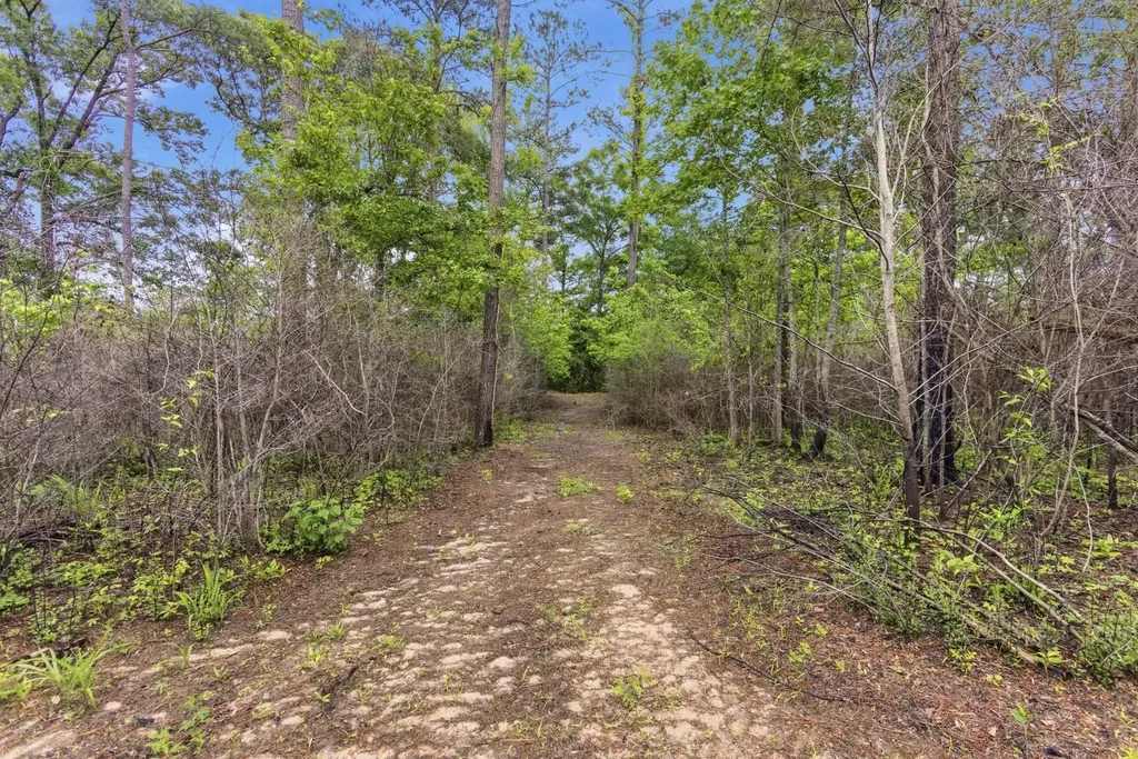 0 Highway 331 Dozier AL 36028