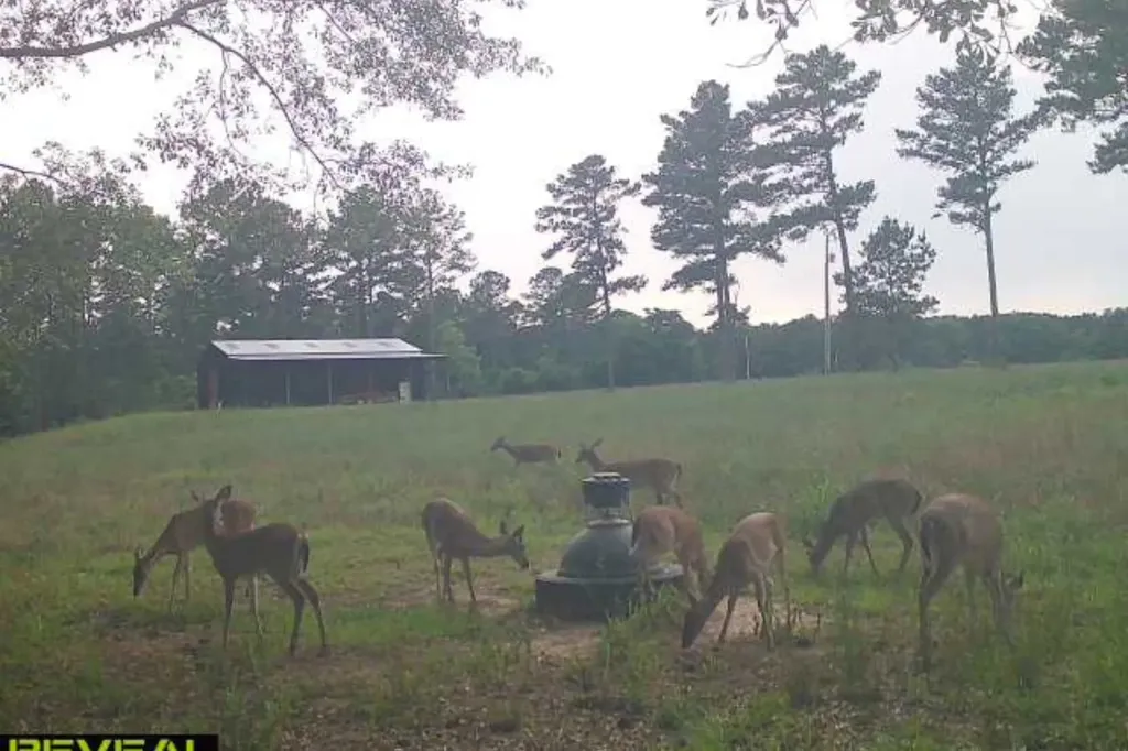 0 Highway 331 Dozier AL 36028