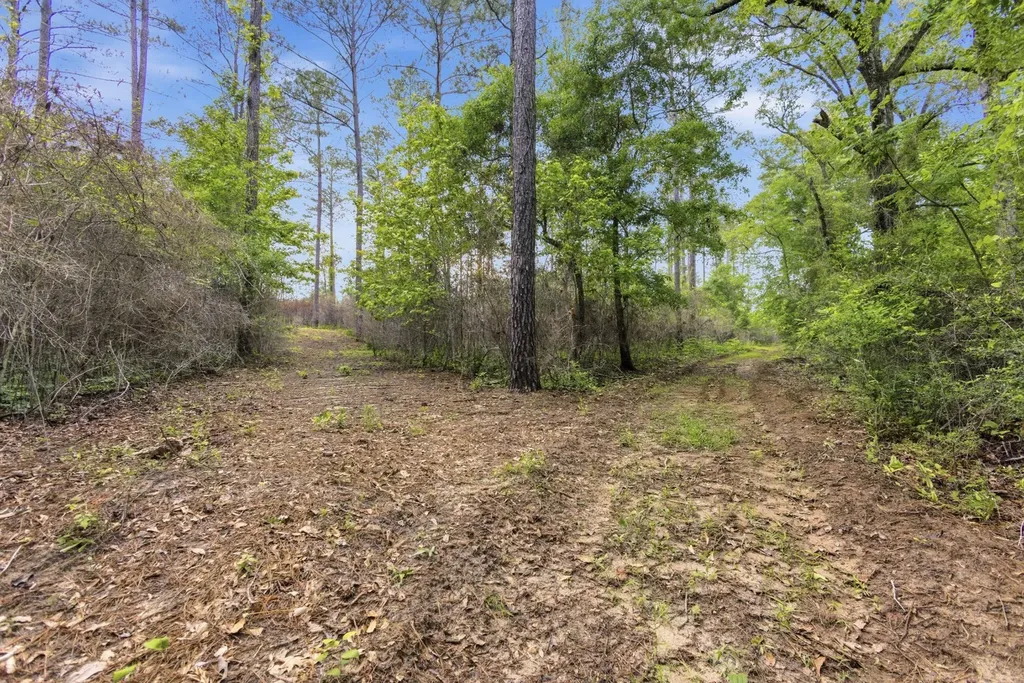 0 Highway 331 Dozier AL 36028