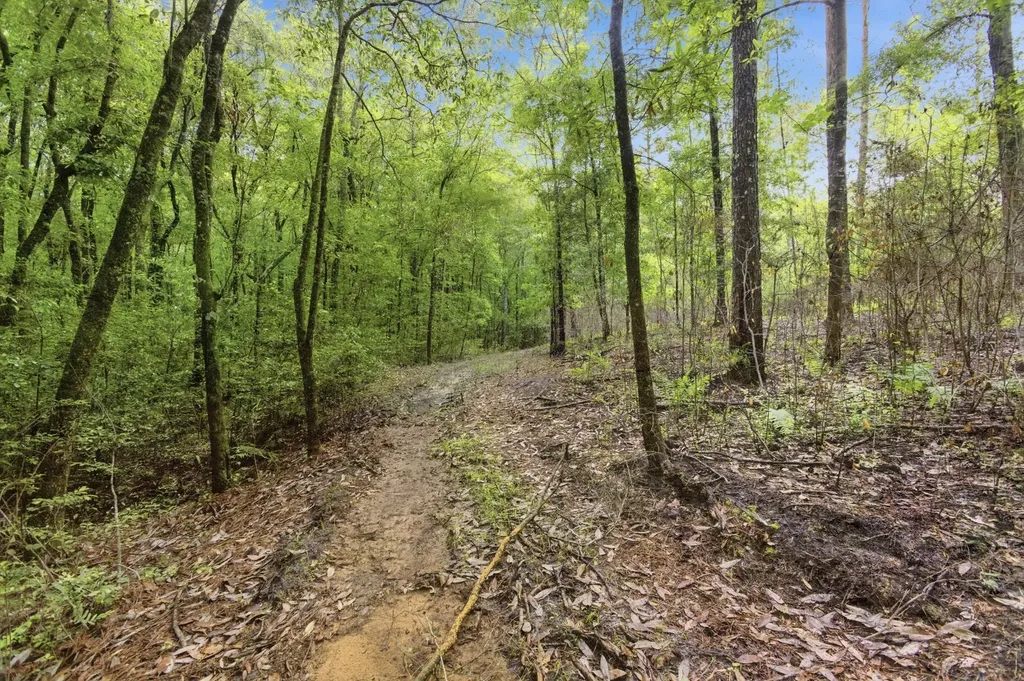 0 Highway 331 Dozier AL 36028