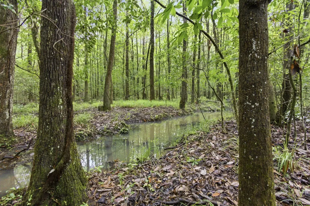 0 Highway 331 Dozier AL 36028