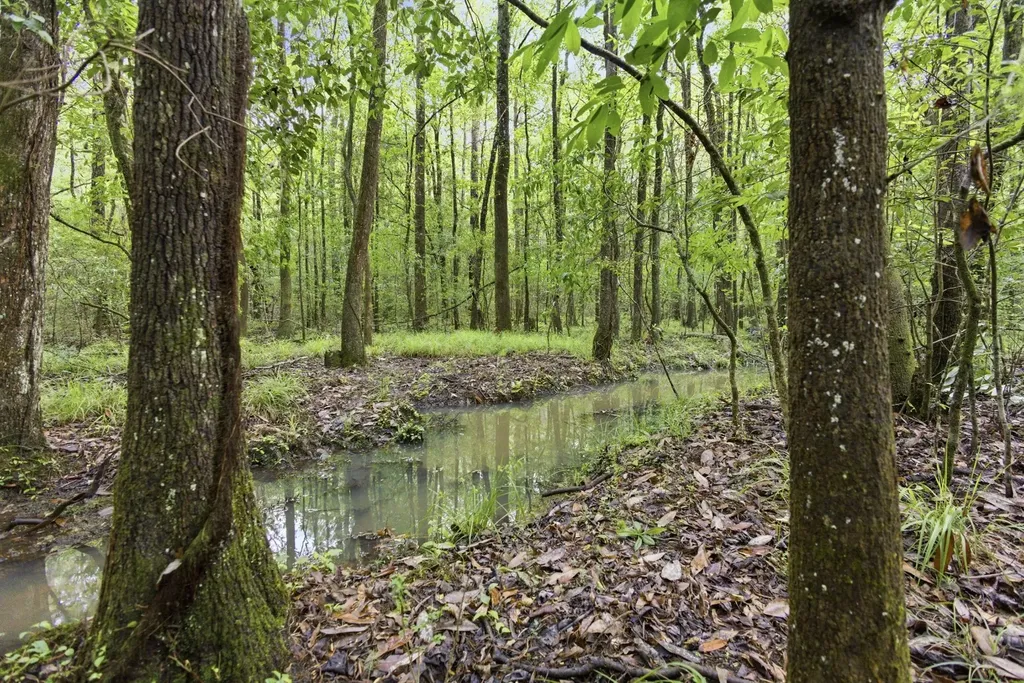 0 Highway 331 Dozier AL 36028