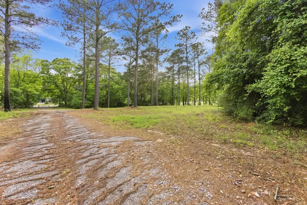 0 Highway 331 Dozier AL 36028