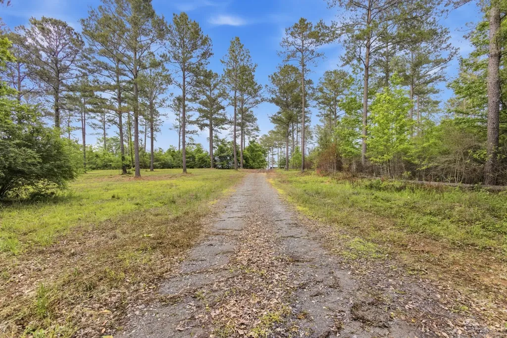 0 Highway 331 Dozier AL 36028