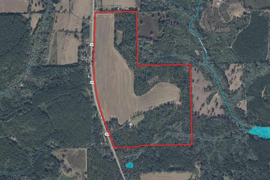 0 Highway 331 Dozier AL 36028