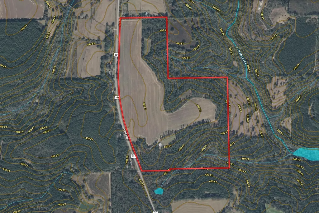 0 Highway 331 Dozier AL 36028