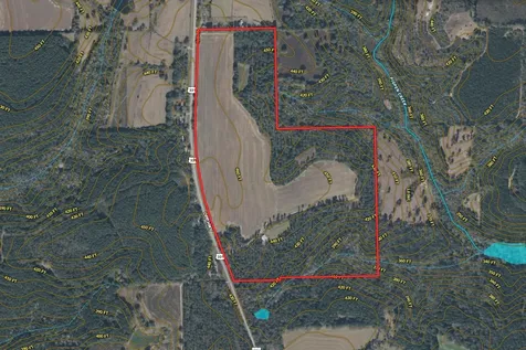 0 Highway 331 Dozier AL 36028