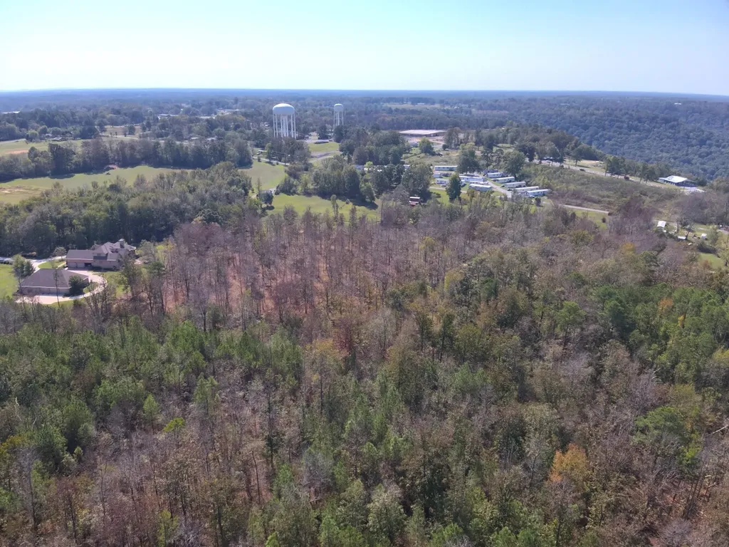 0 Scenic Drive Section AL 35771