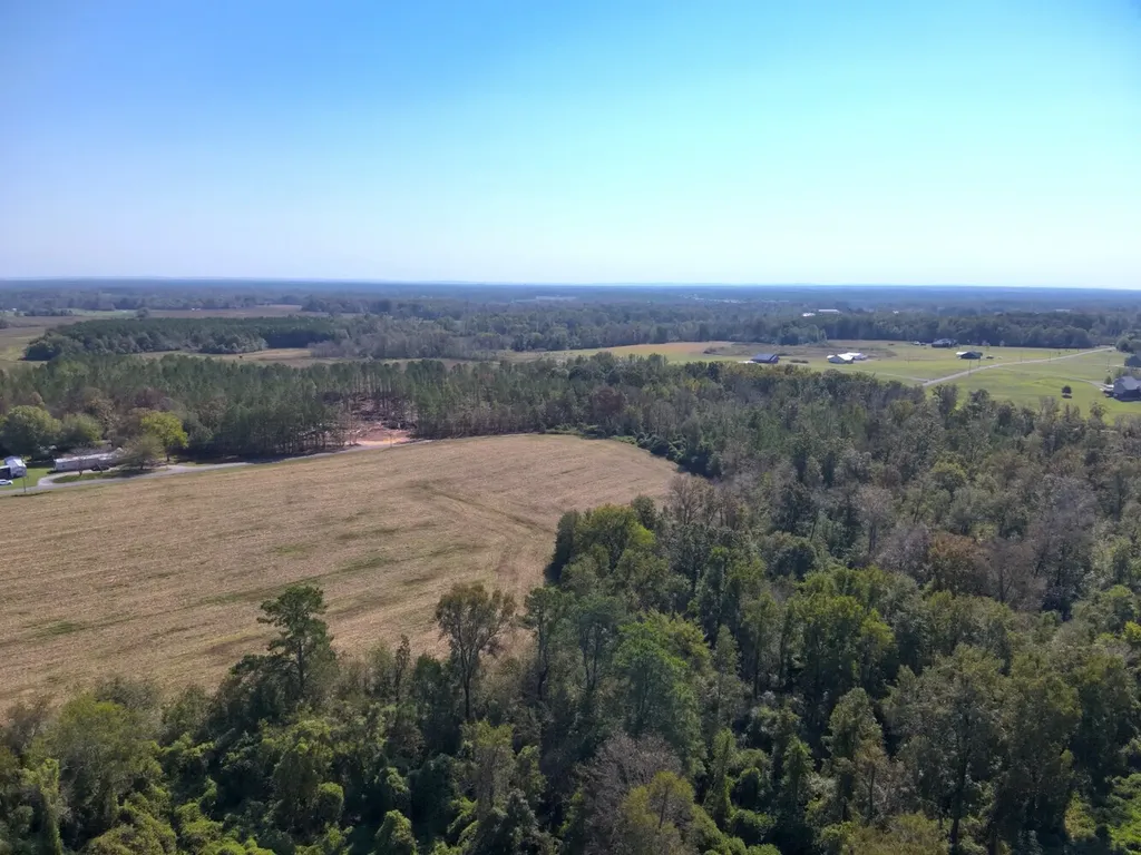 0 Scenic Drive Section AL 35771