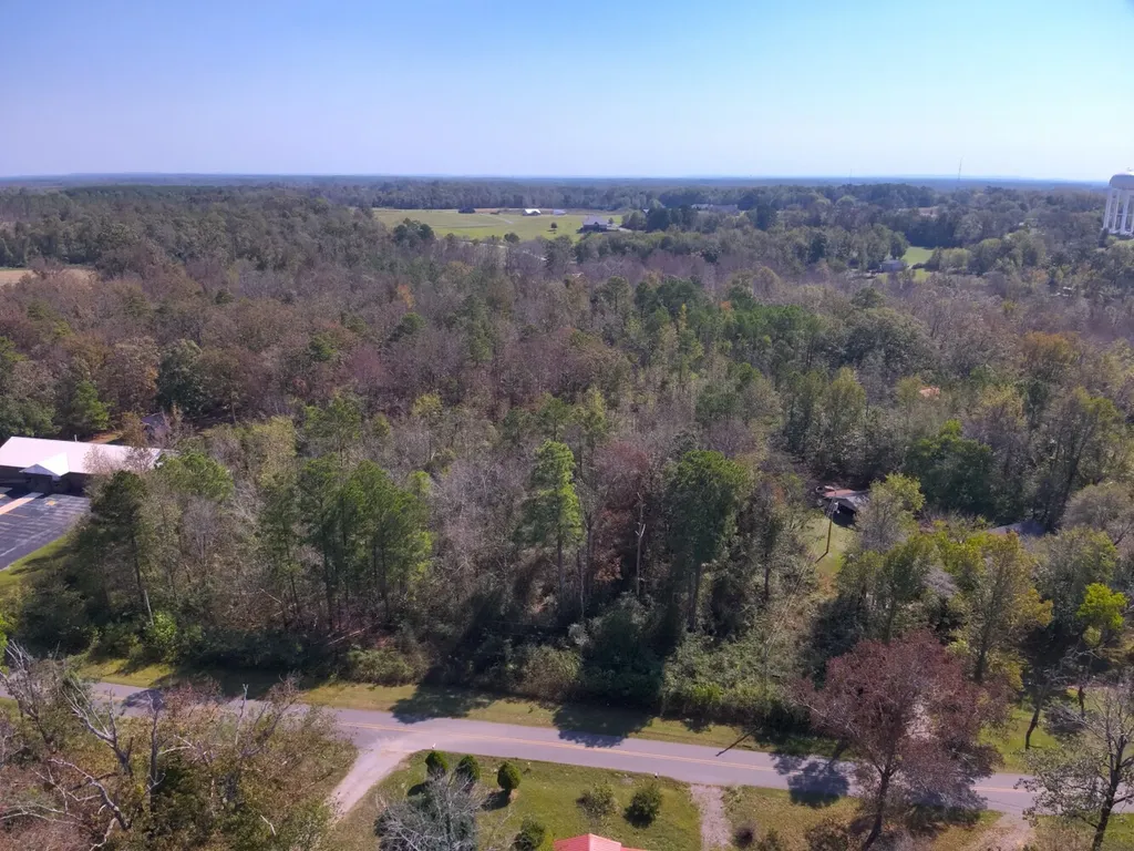 0 Scenic Drive Section AL 35771