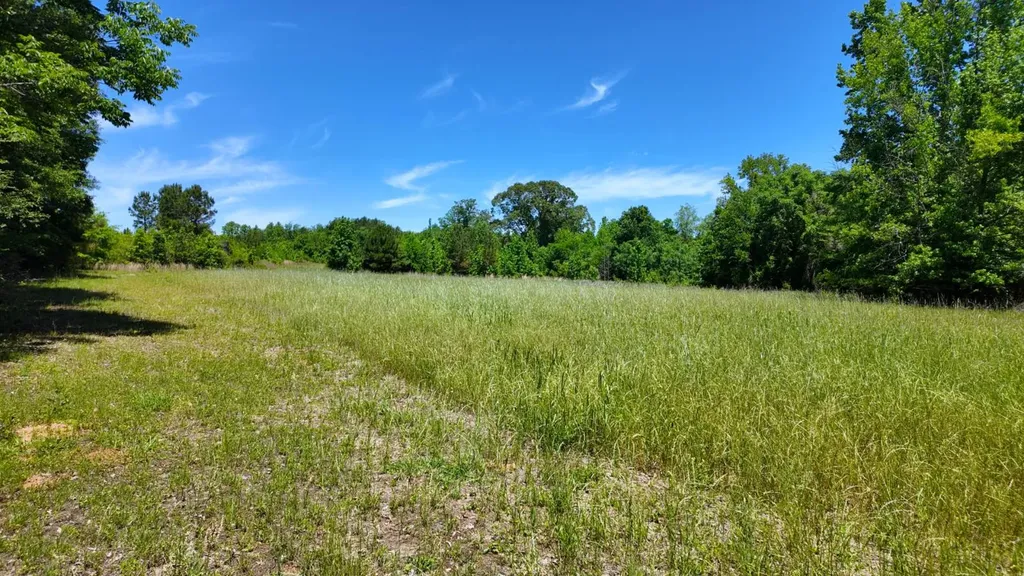 0 County Road 38 Autaugaville AL 36003