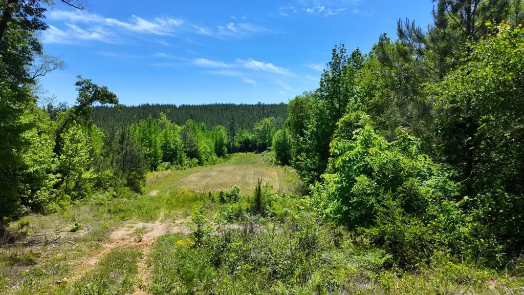0 County Road 38 Autaugaville AL 36003