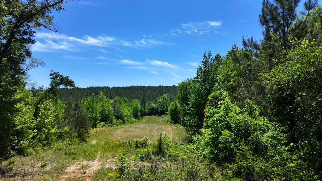 0 County Road 38 Autaugaville AL 36003