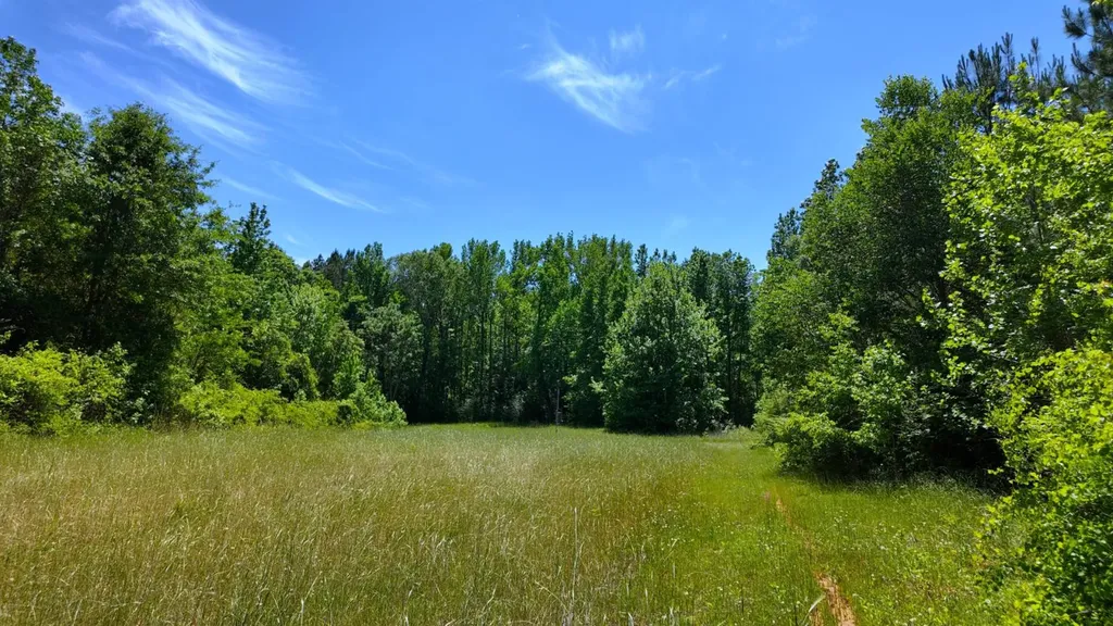 0 County Road 38 Autaugaville AL 36003