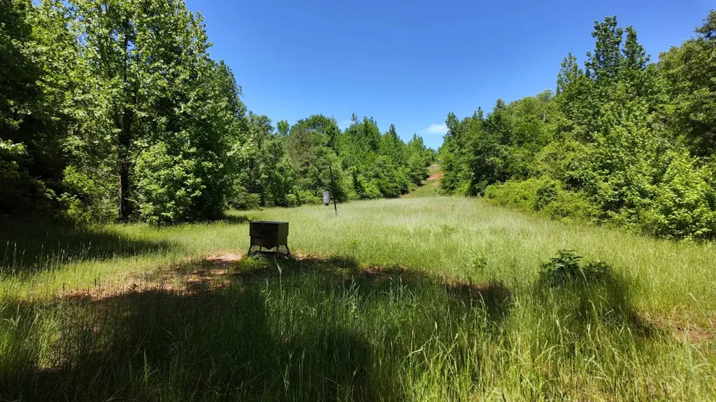 0 County Road 38 Autaugaville AL 36003
