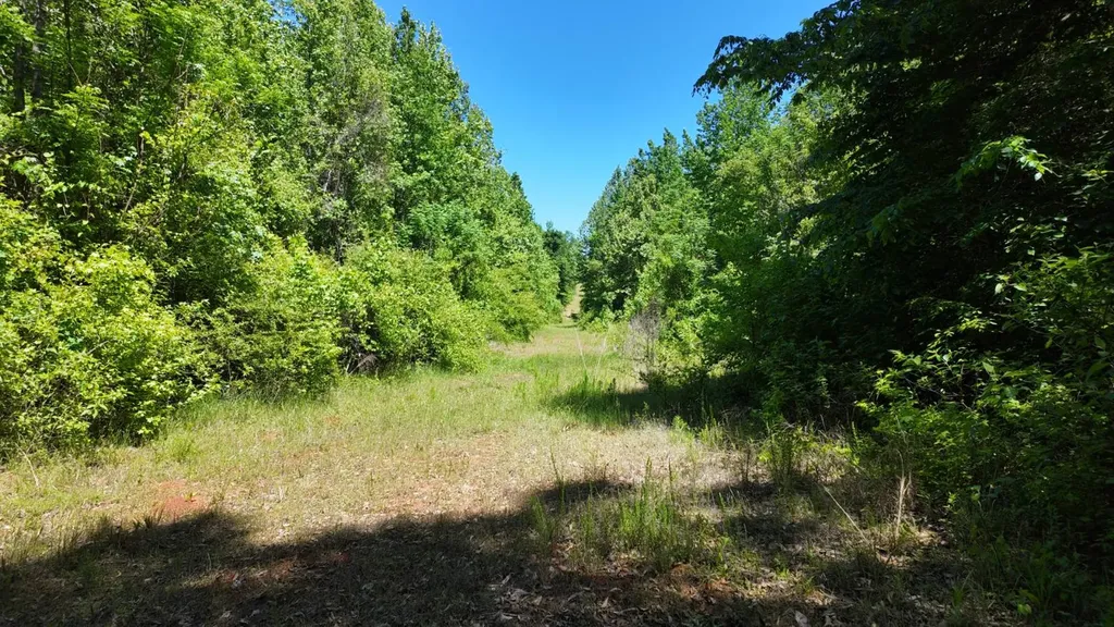 0 County Road 38 Autaugaville AL 36003