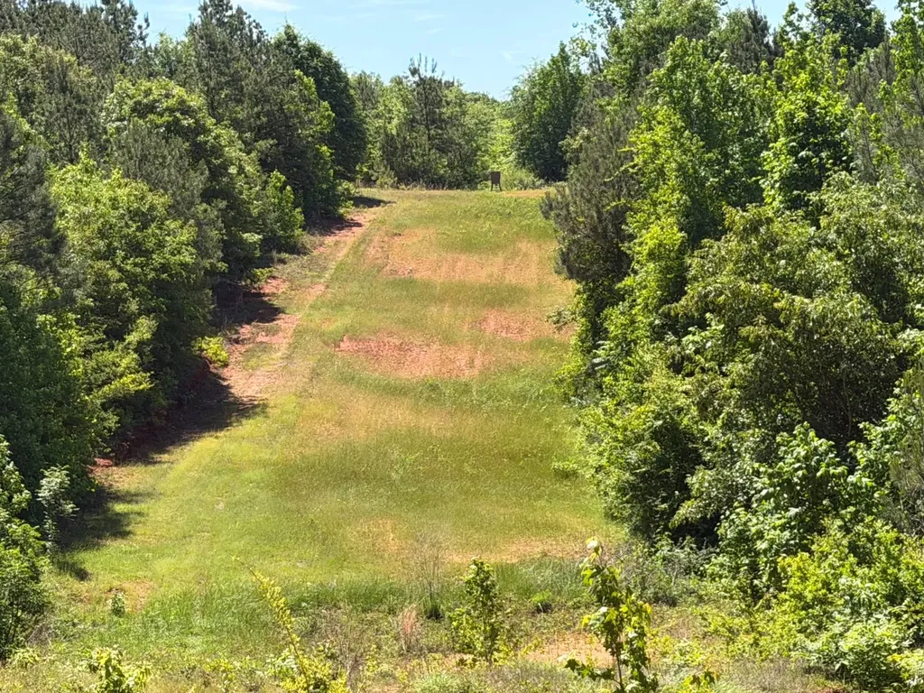 0 County Road 38 Autaugaville AL 36003
