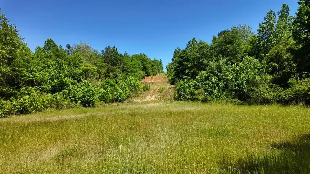0 County Road 38 Autaugaville AL 36003