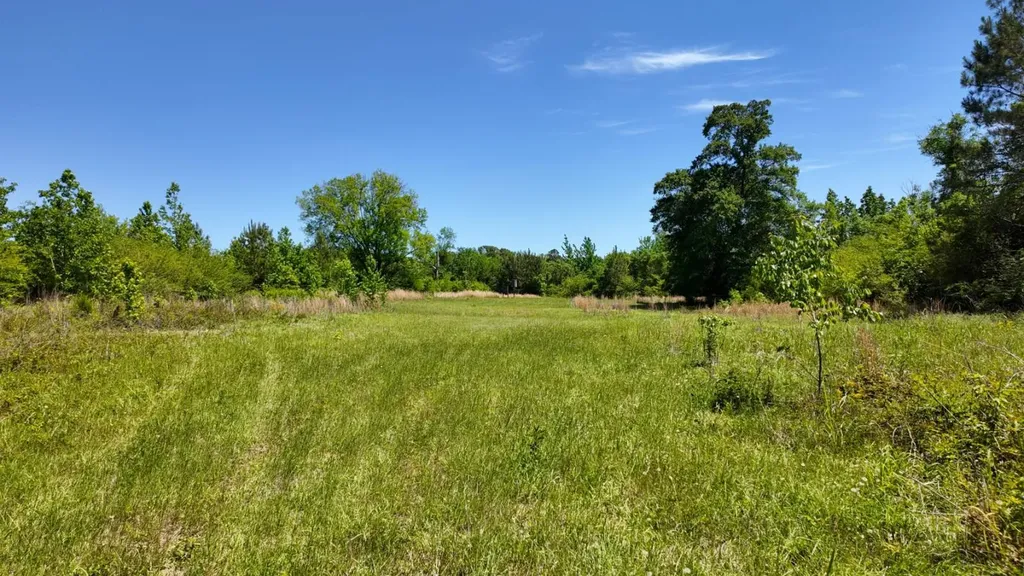 0 County Road 38 Autaugaville AL 36003