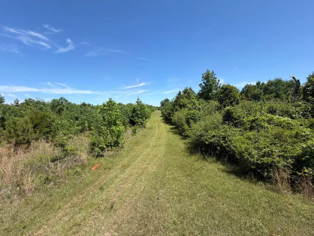 0 County Road 38 Autaugaville AL 36003