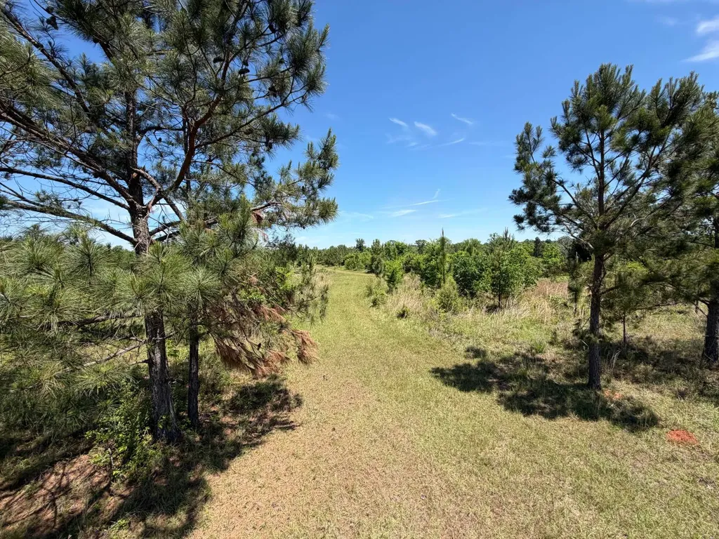 0 County Road 38 Autaugaville AL 36003